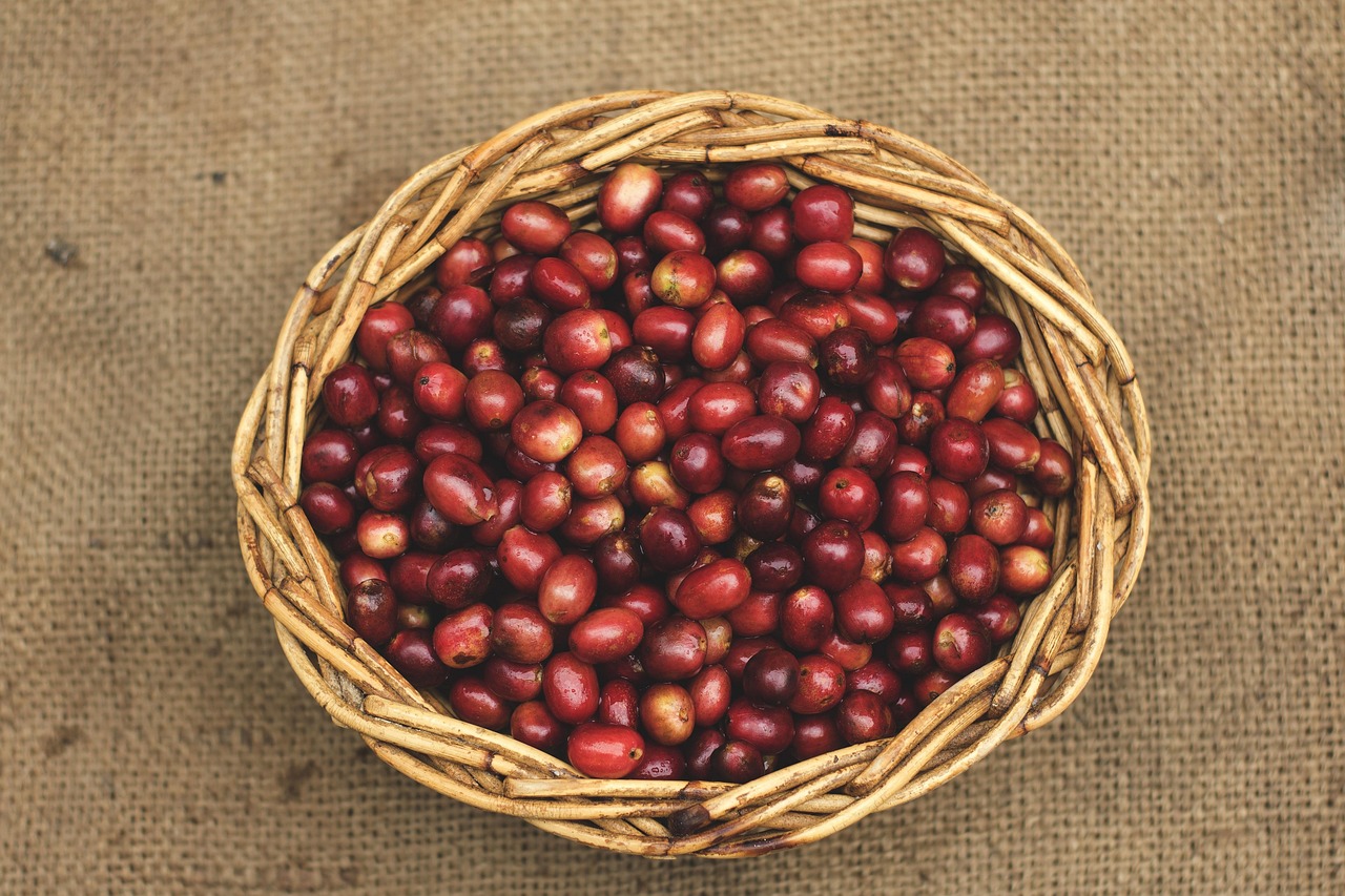 Specialty coffee at Aroma Monticello